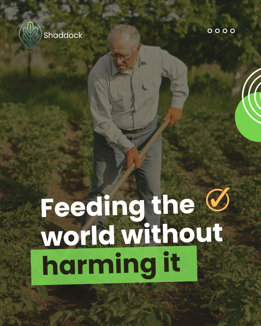 Shaddok Co. - Image 2