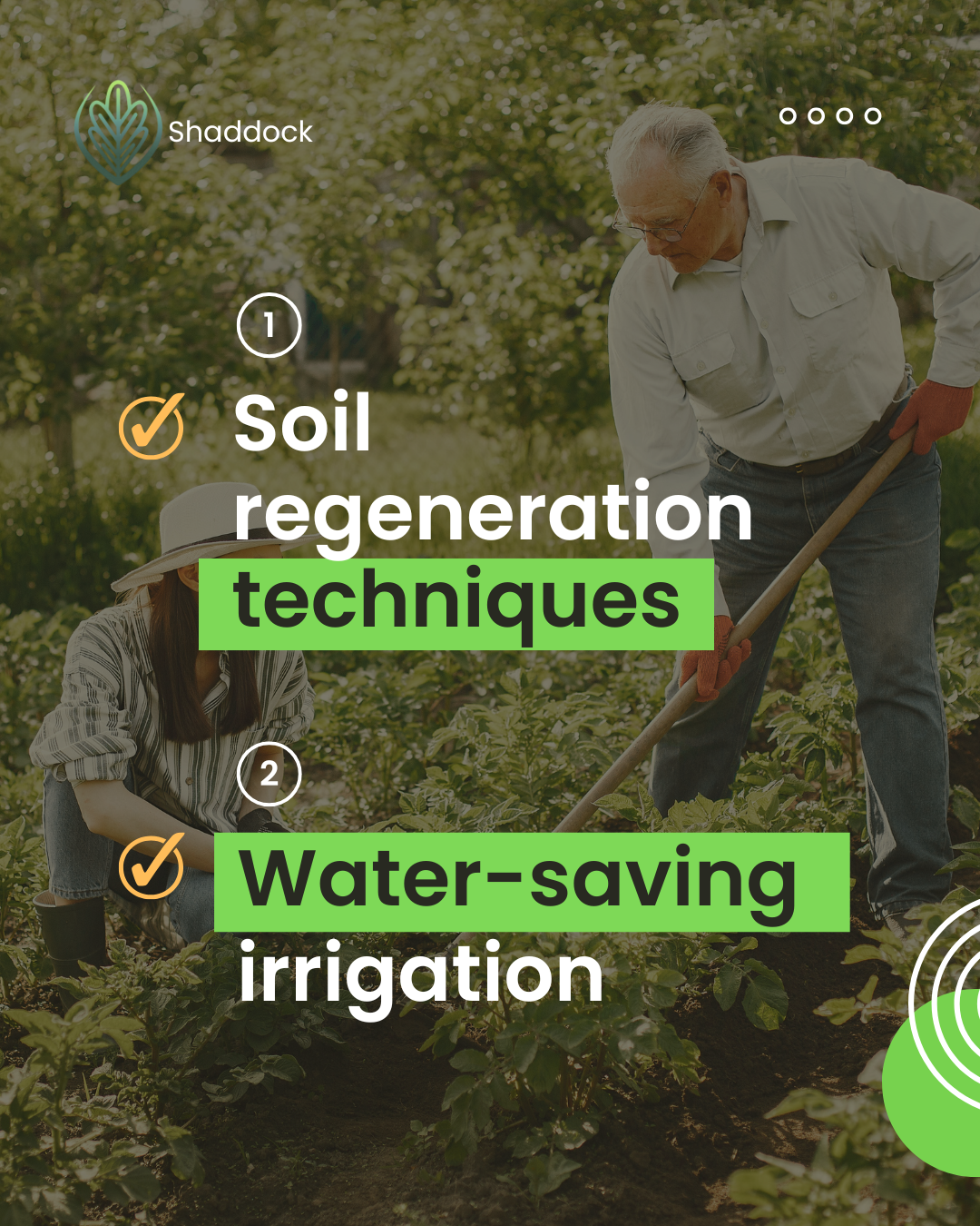 Shaddok Co. - Image 3