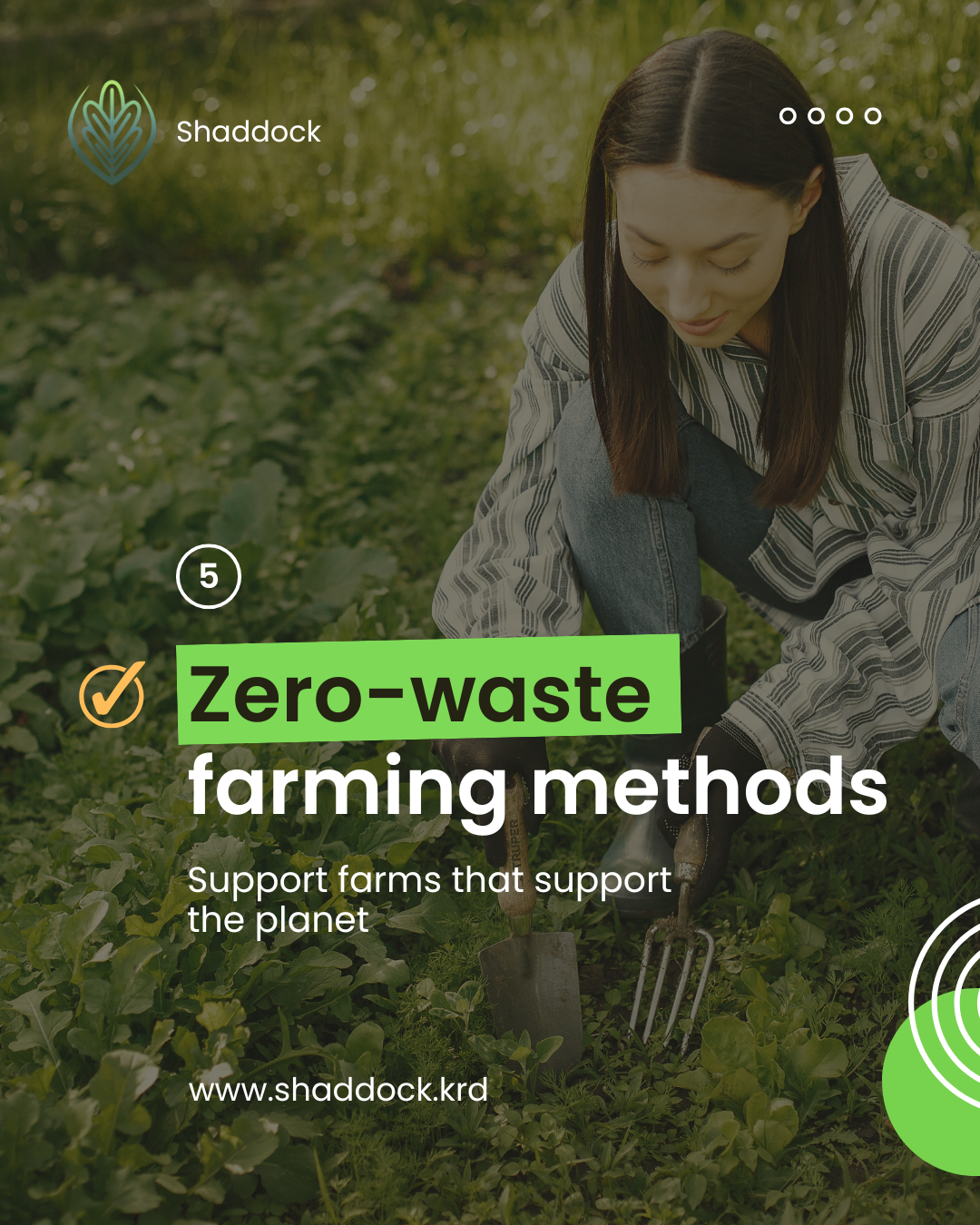 Shaddok Co. - Image 5